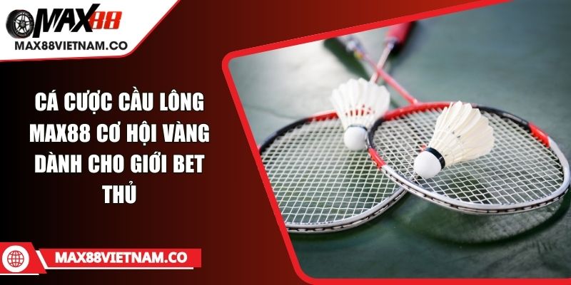 Cá Cược Cầu Lông MAX88 Cơ Hội Vàng Dành Cho Giới Bet Thủ