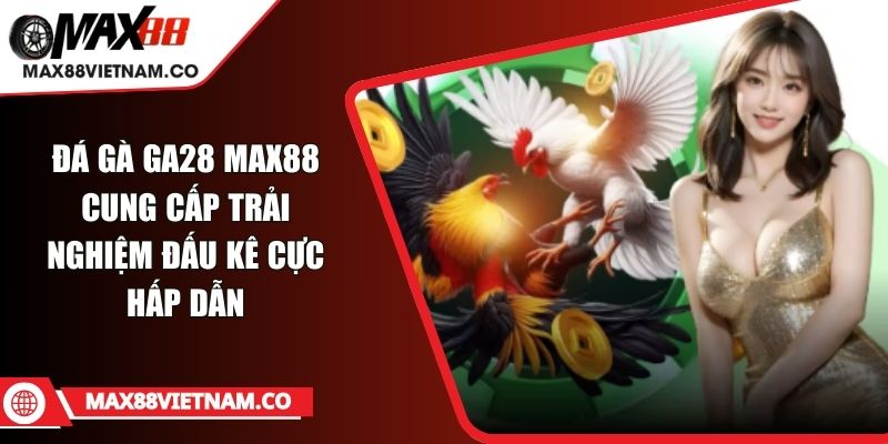 Đá Gà GA28 MAX88 Cung Cấp Trải Nghiệm Đấu Kê Cực Hấp Dẫn