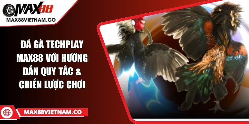 Đá Gà Techplay MAX88 Với Hướng Dẫn Quy Tắc & Chiến Lược Chơi